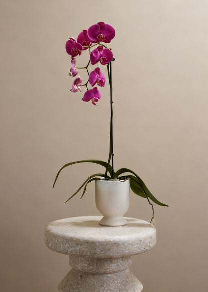Footed Ceramic Laney Vase in Speckled White - 6.5"