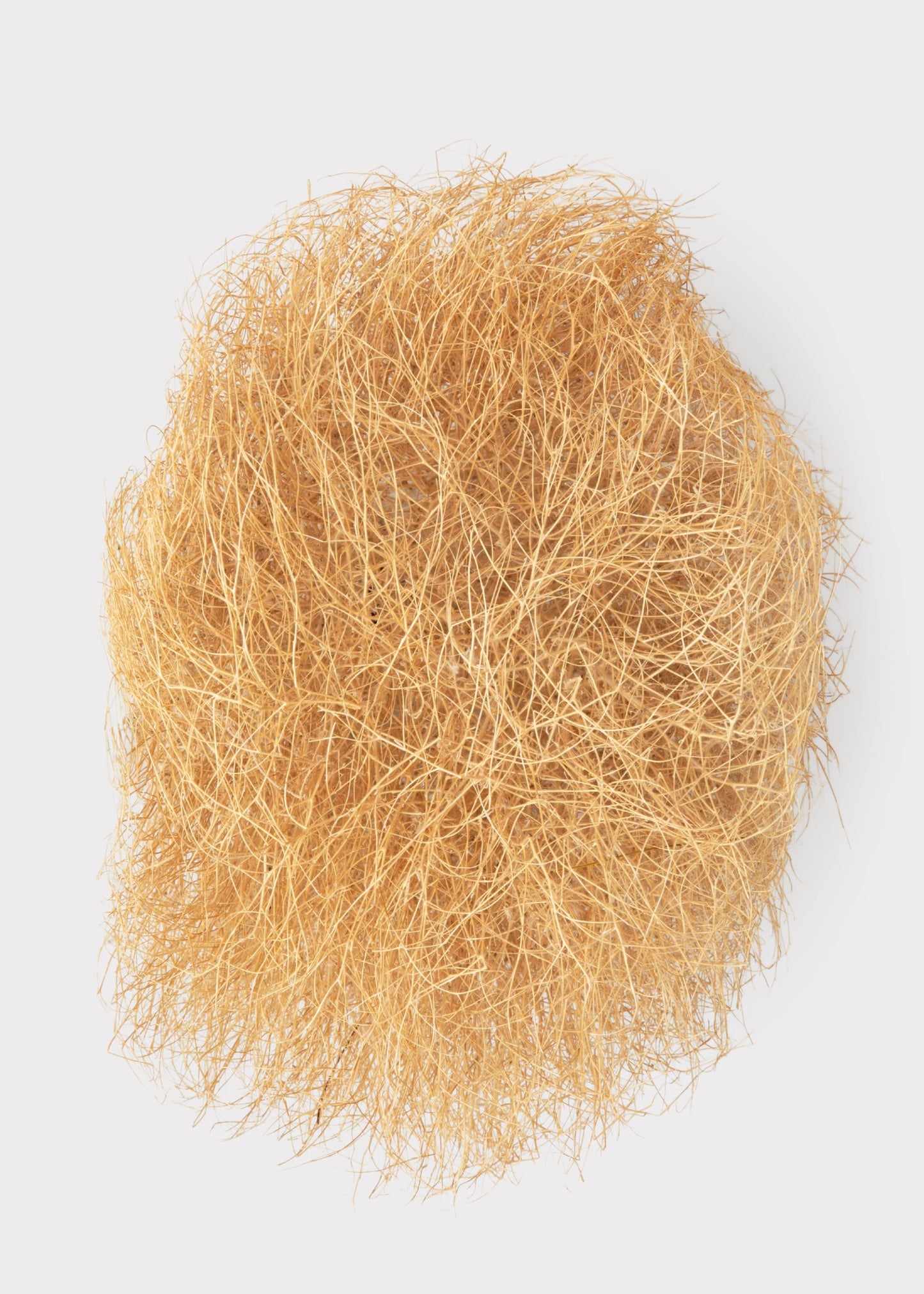 Natural Dried Tumbleweed Bunch in Medium Size - 12-18" Wide