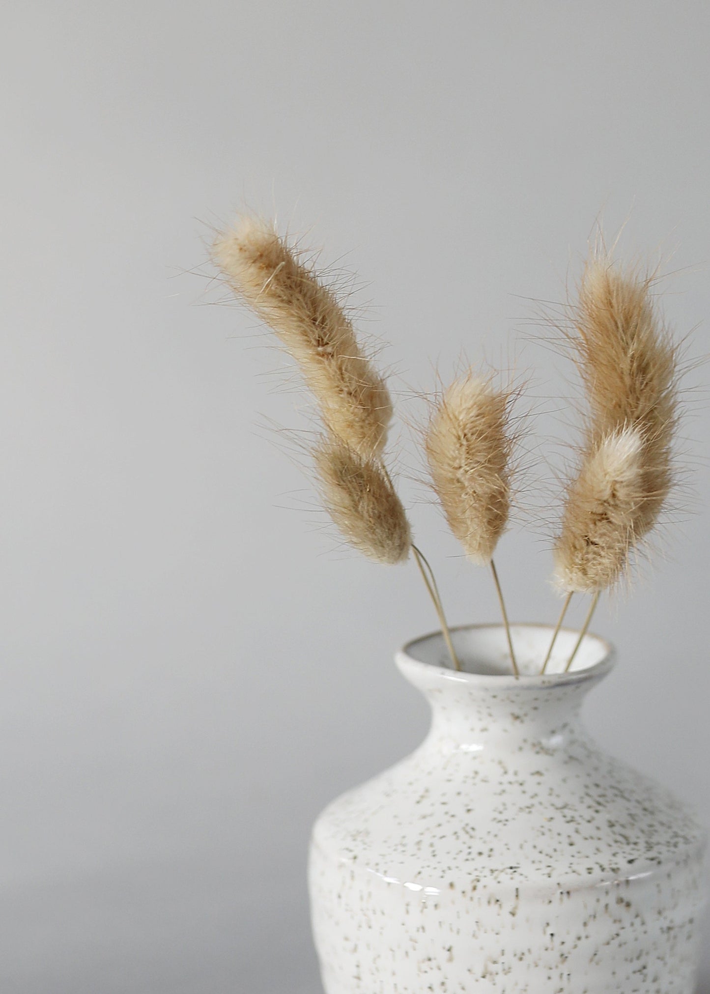 Natural Dried Bunny Tail Grass Bunch - 32"