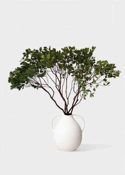 FRESH Manzanita Branches with Leaves - 36-48"