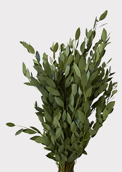 FRESH Large Fragrant Bay Leaf Bunch - 25-30"