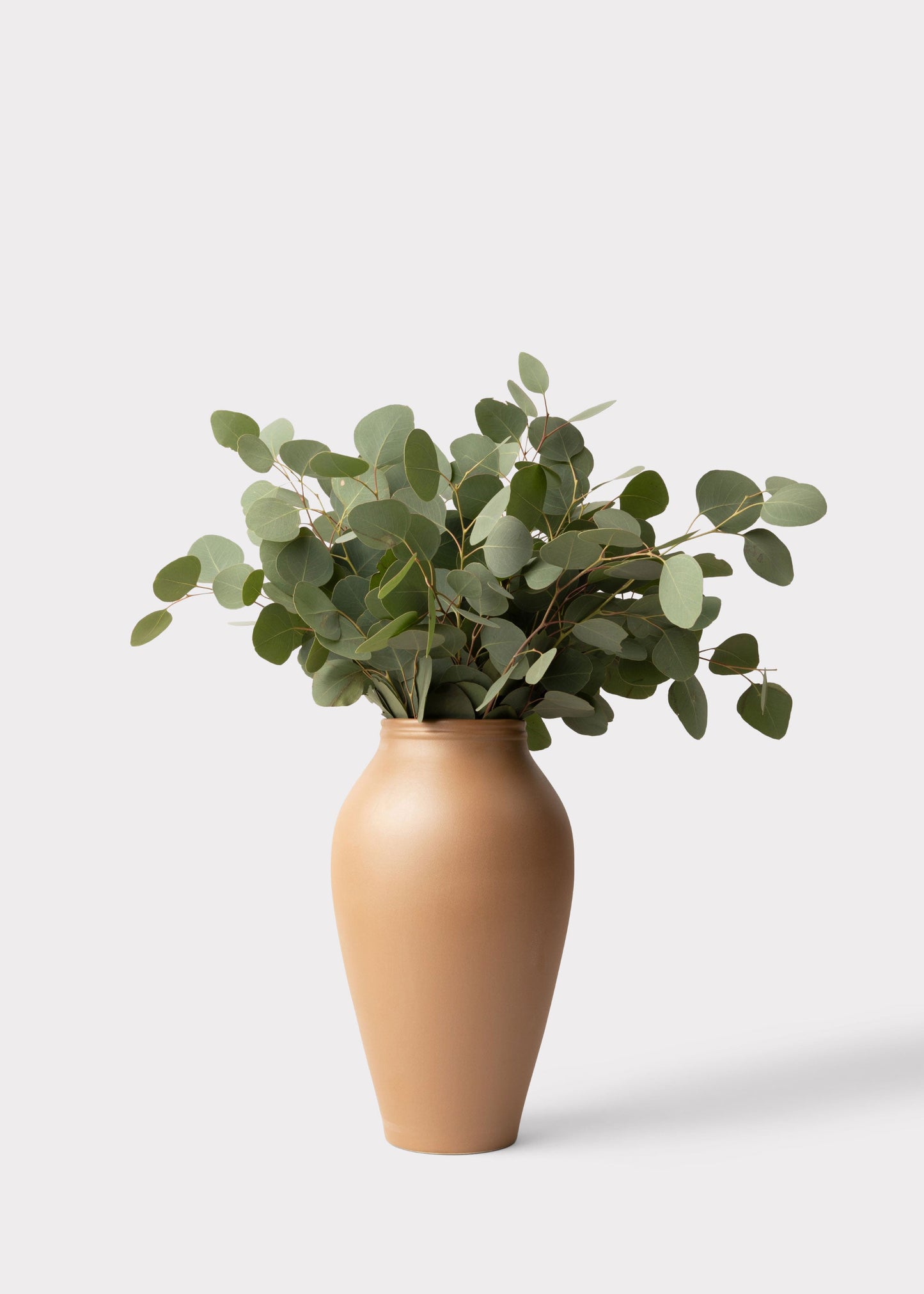 FRESH Silver Dollar Eucalyptus Leaf Bunch - 18"