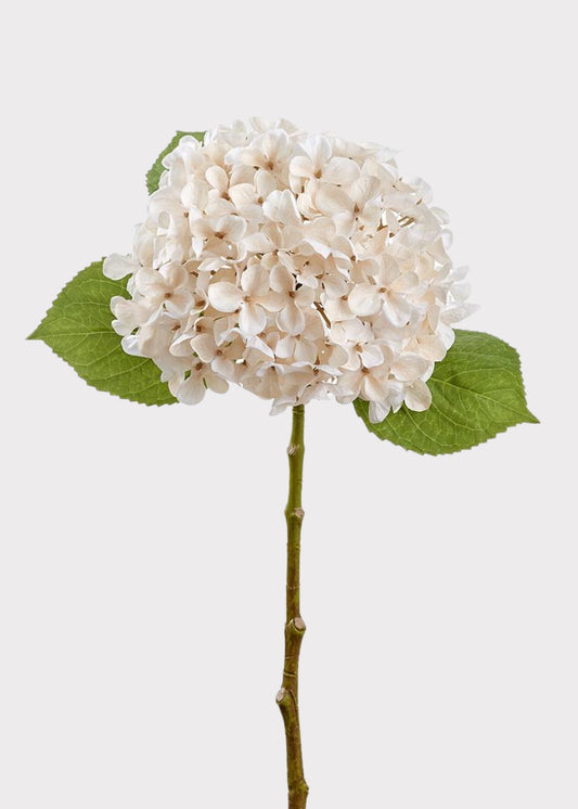 Ivory Cream Fake Hydrangea Flower - 17.5"