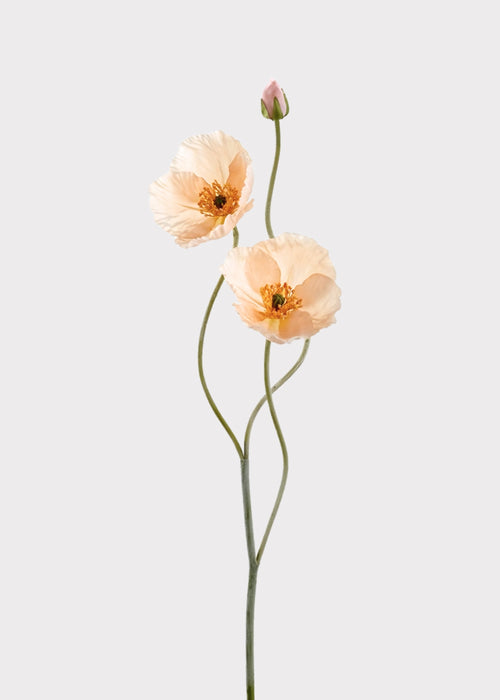 Fake Blooming Poppy Flowers in Peach - 29"