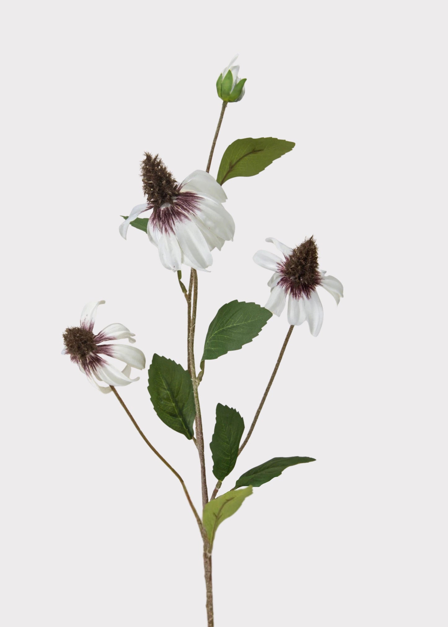 White Artificial Black-Eyed-Susan Wildflowers - 33"