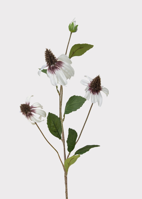 White Artificial Black-Eyed-Susan Wildflowers - 33"