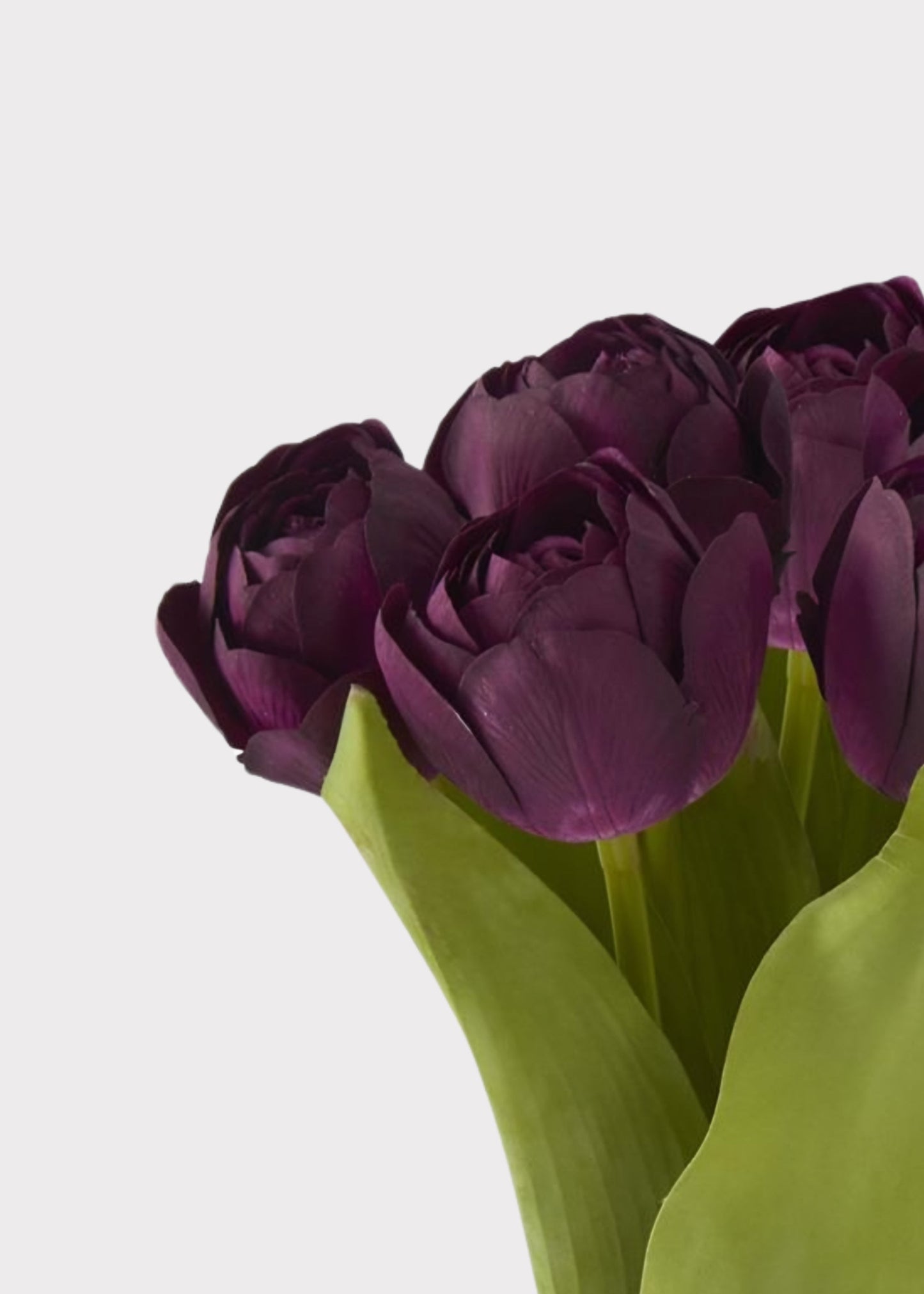 Plum Purple Real Touch Tulip Fake Flower Bundle of 6 - 13"