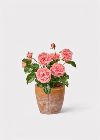 UV Treated Outdoor Potted Arrangement of Pink Real Touch Roses - 13"