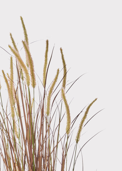 UV Treated Outdoor Fake Autumn Brown Grass Potted Plant - 48"