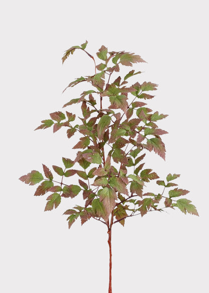 Purple and Green Fake Cimicifuga Leaf Branch - 30"