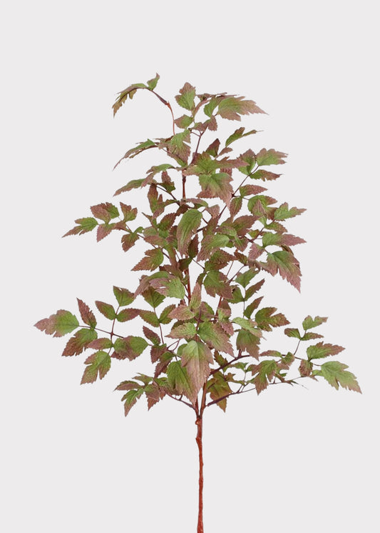 Purple and Green Fake Cimicifuga Leaf Branch - 30"