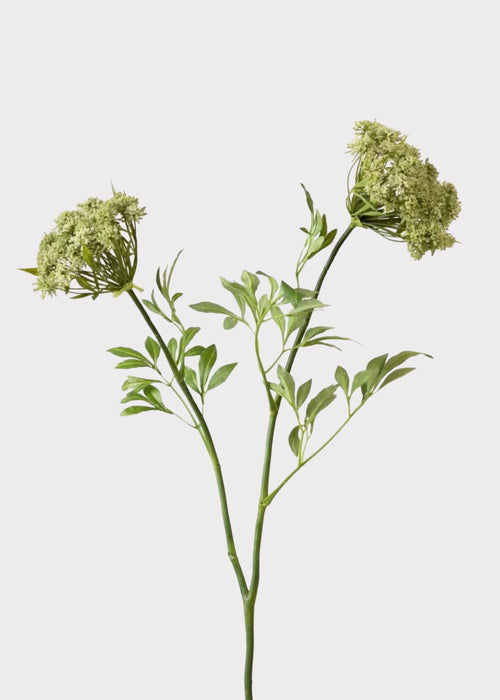 SAVE - Faux Queen Anne's Lace Wildflowers - 36"