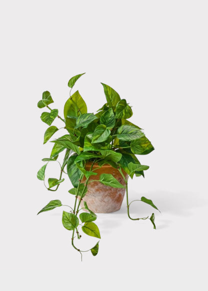 Outdoor UV Treated Pothos Real Touch Potted Plant - 13"