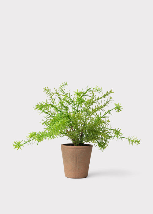 Artificial Potted Rosemary Herb Plant - 16"