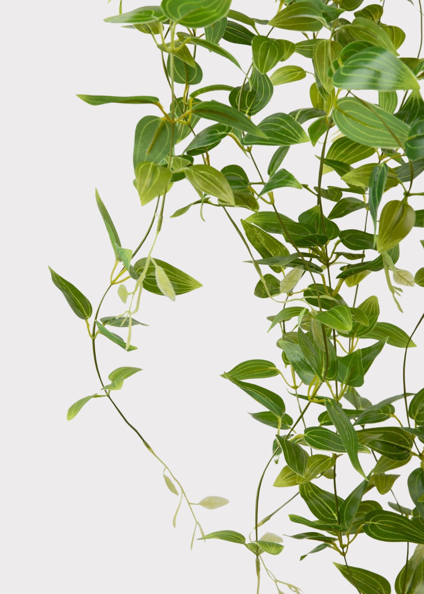 SAVE - Deluxe Artificial Hanging Tradescantia Houseplant- 41"
