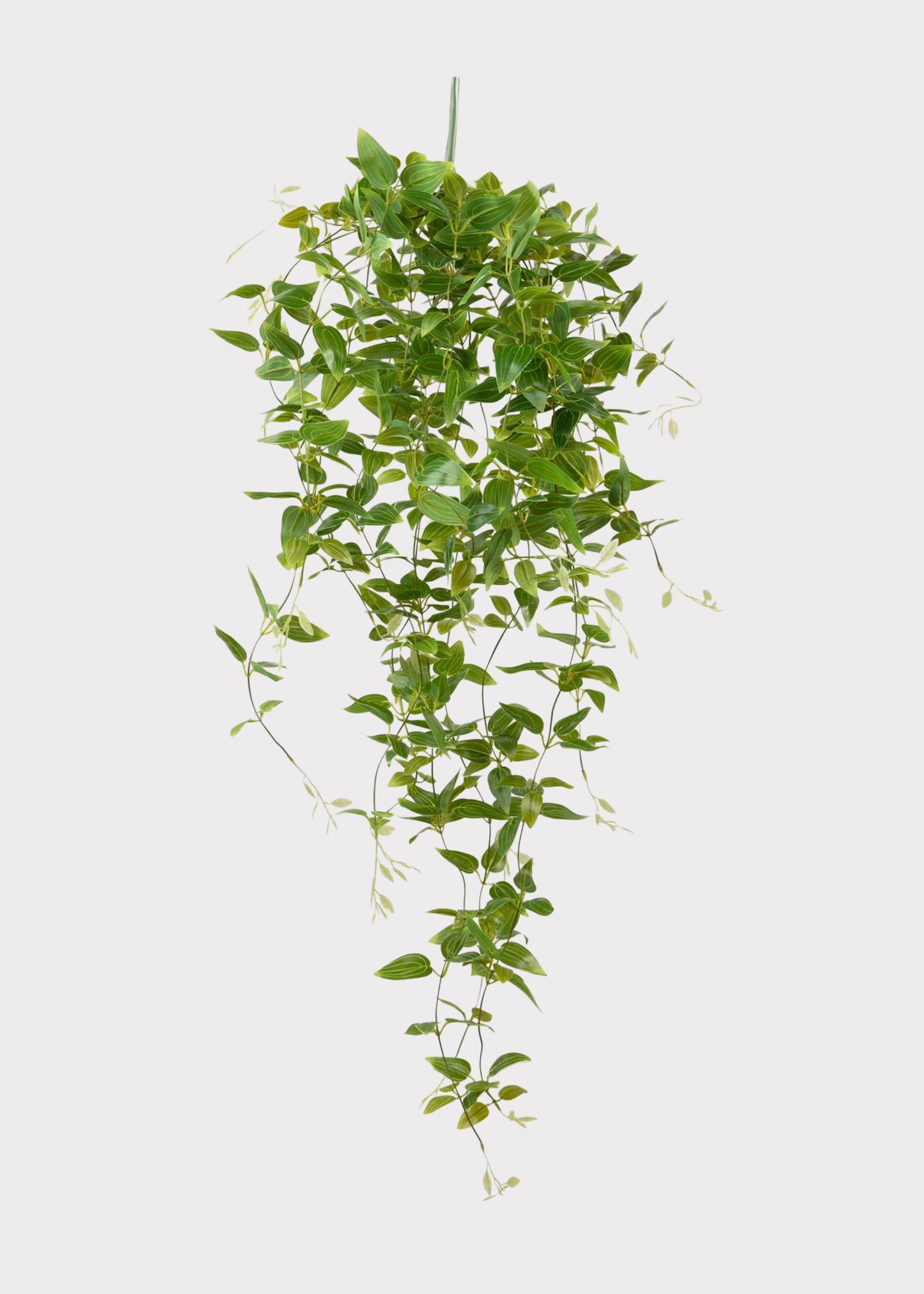 SAVE - Deluxe Artificial Hanging Tradescantia Houseplant- 41"