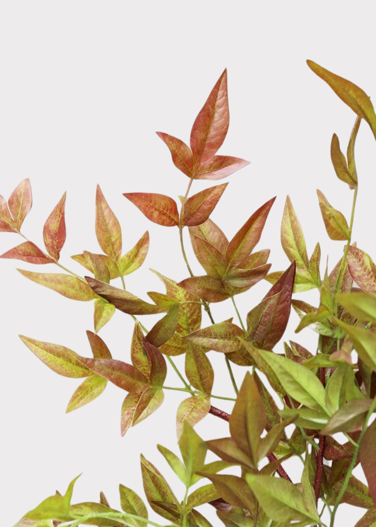 SAVE - Artificial Nandina Leaf Branch - 39"