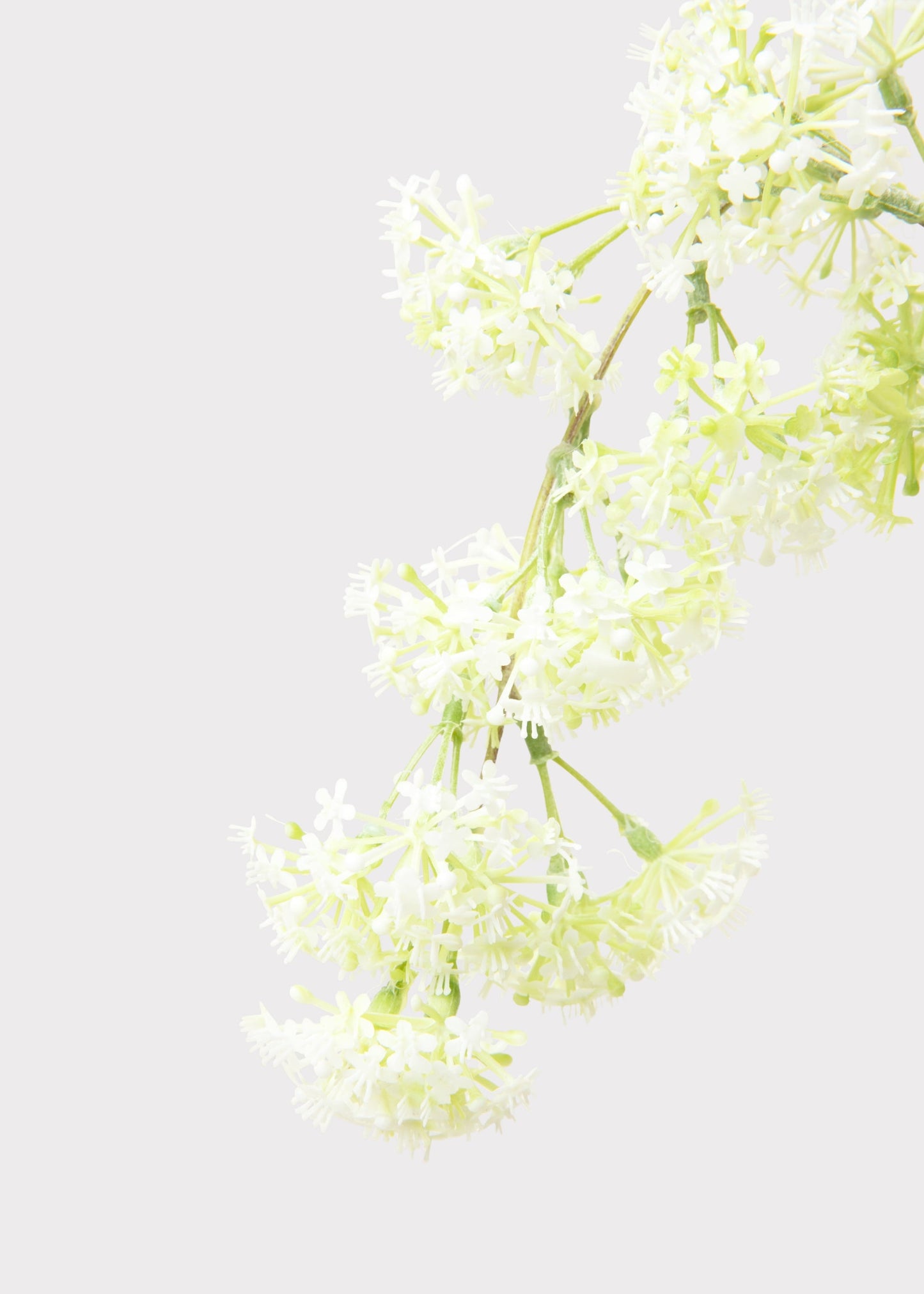 Faux Laurel Hanging Flower Branch in White - 30"
