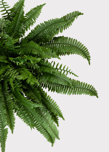 Large UV Resistant Outdoor Fake Boston Fern Plant - 38"