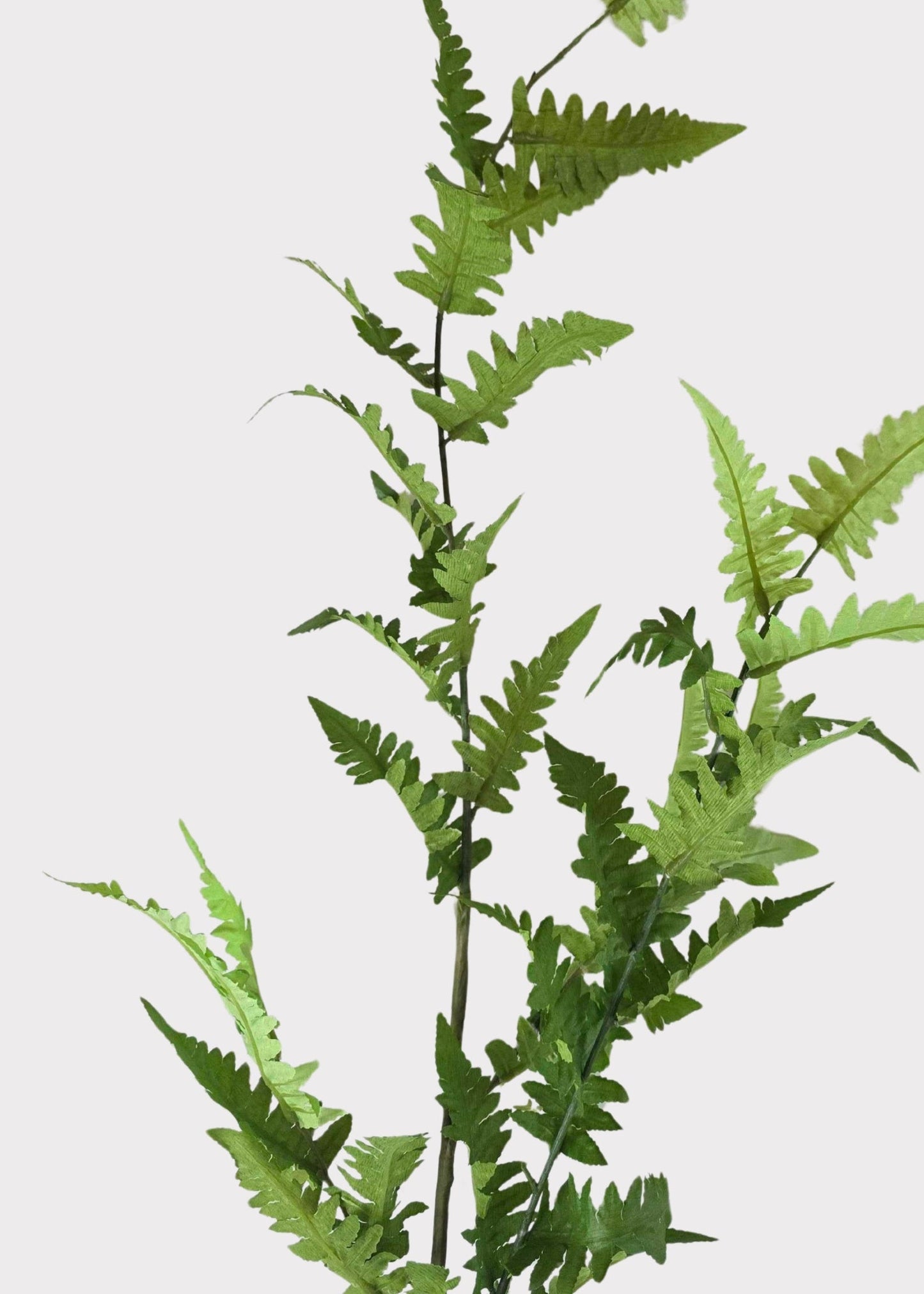 Tall Artificial Wild Fern Leaf Greenery Branch - 48"