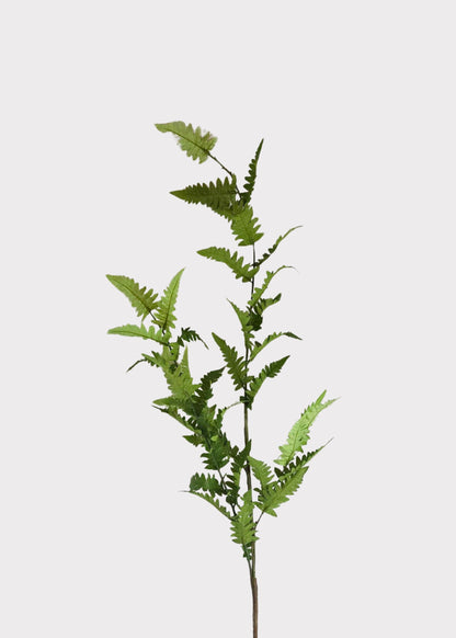 Tall Artificial Wild Fern Leaf Greenery Branch - 48"