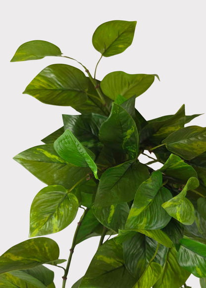 UV Treated Natural Touch Hanging Pothos Indoor/Outdoor Plant - 36"