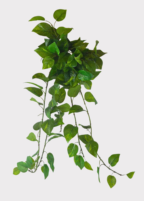 UV Treated Natural Touch Hanging Pothos Indoor/Outdoor Plant - 36"