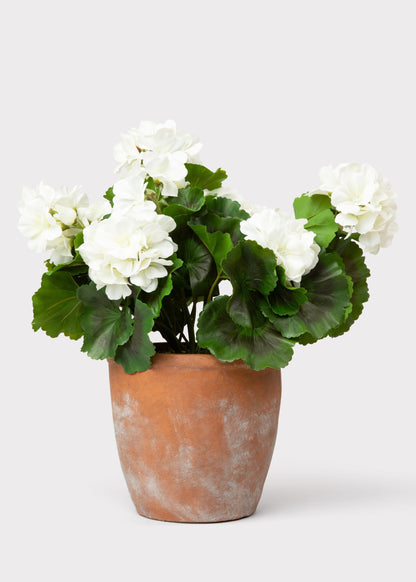 UV Treated Indoor/Outdoor Fake White Geranium Plant in Clay Pot - 16"