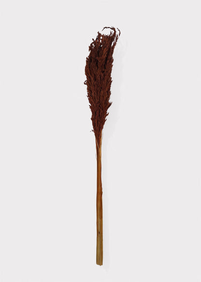 Dried Grass Burnt Brown Wild Oats Bunch - 38"