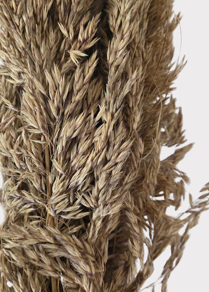 Natural Dried Wild Oats Grass Bunch - 38"