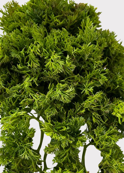 Artificial Moss Vine Hanging Bush - 14"