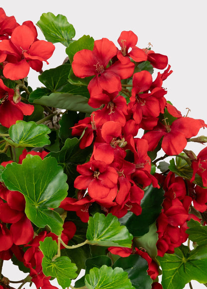 UV Treated Indoor/Outdoor Fake Geranium Hanging Bush - 24"