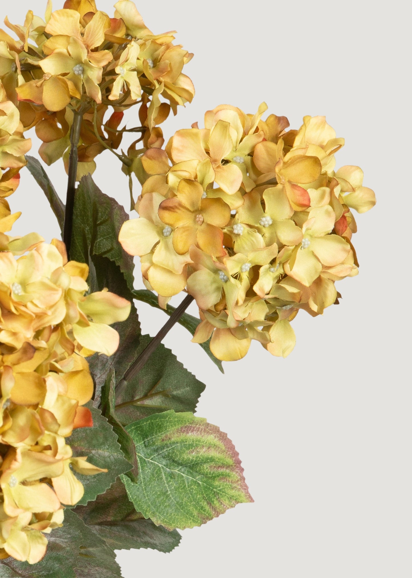 SAVE - Vintage Antique Green Fake Hydrangea Bush - 20"