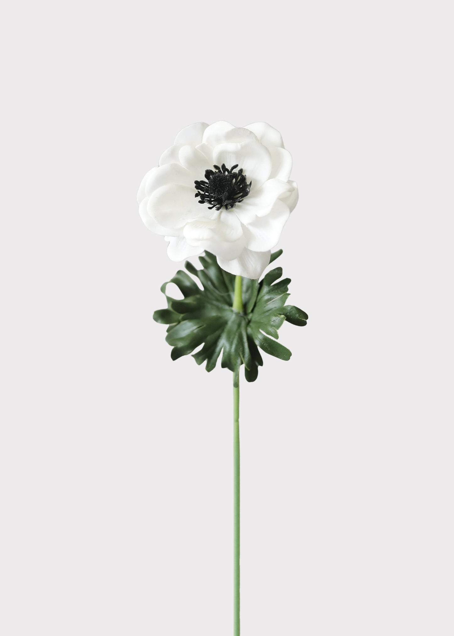 White Anemone Real Touch Fake Flower - 14"