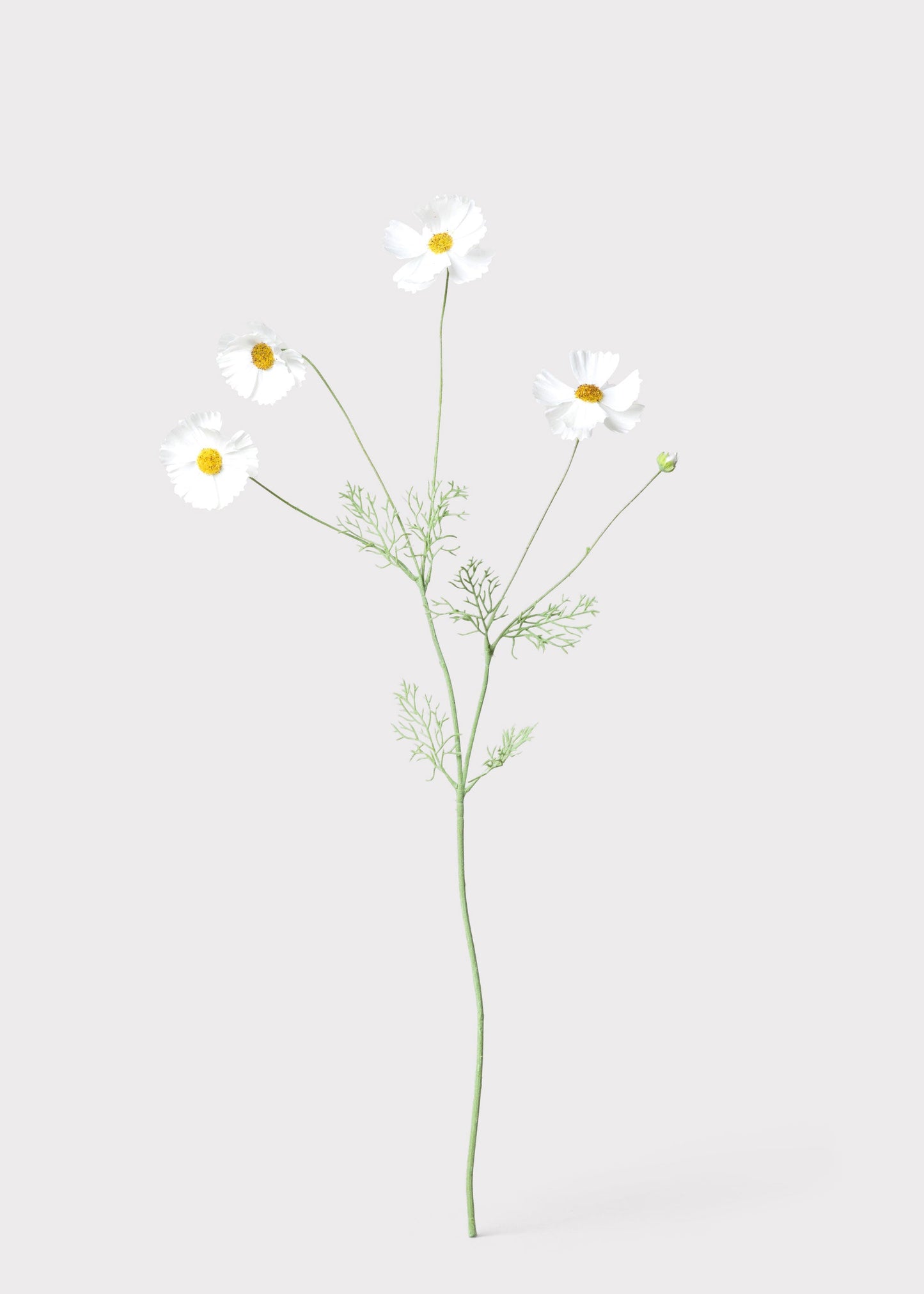 Fake Cosmos Daisy Wildflowers in White - 36.25"
