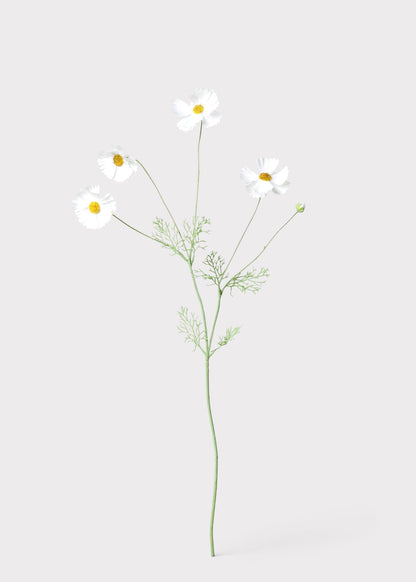 Fake Cosmos Daisy Wildflowers in White - 36.25"