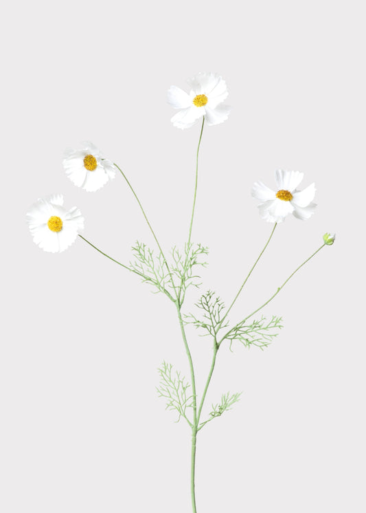 Fake Cosmos Daisy Wildflowers in White - 36.25"