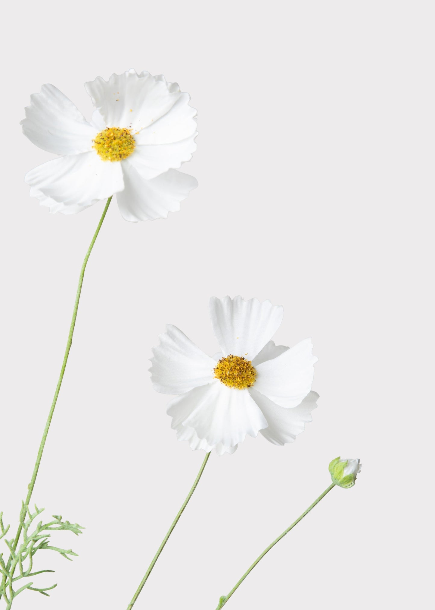 Fake Cosmos Daisy Wildflowers in White - 36.25"