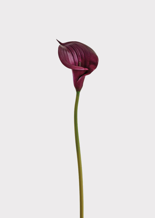 Plum Purple Artificial Calla Lily Real Touch Flower - 33"