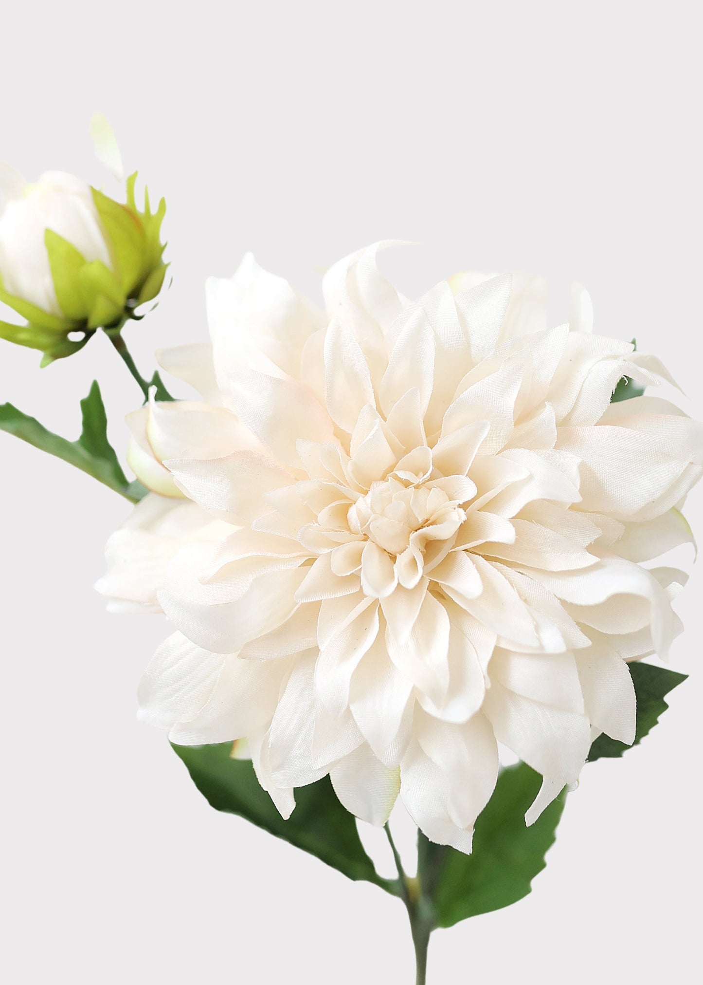 Ivory Artificial Dahlia Flower - 19.5"
