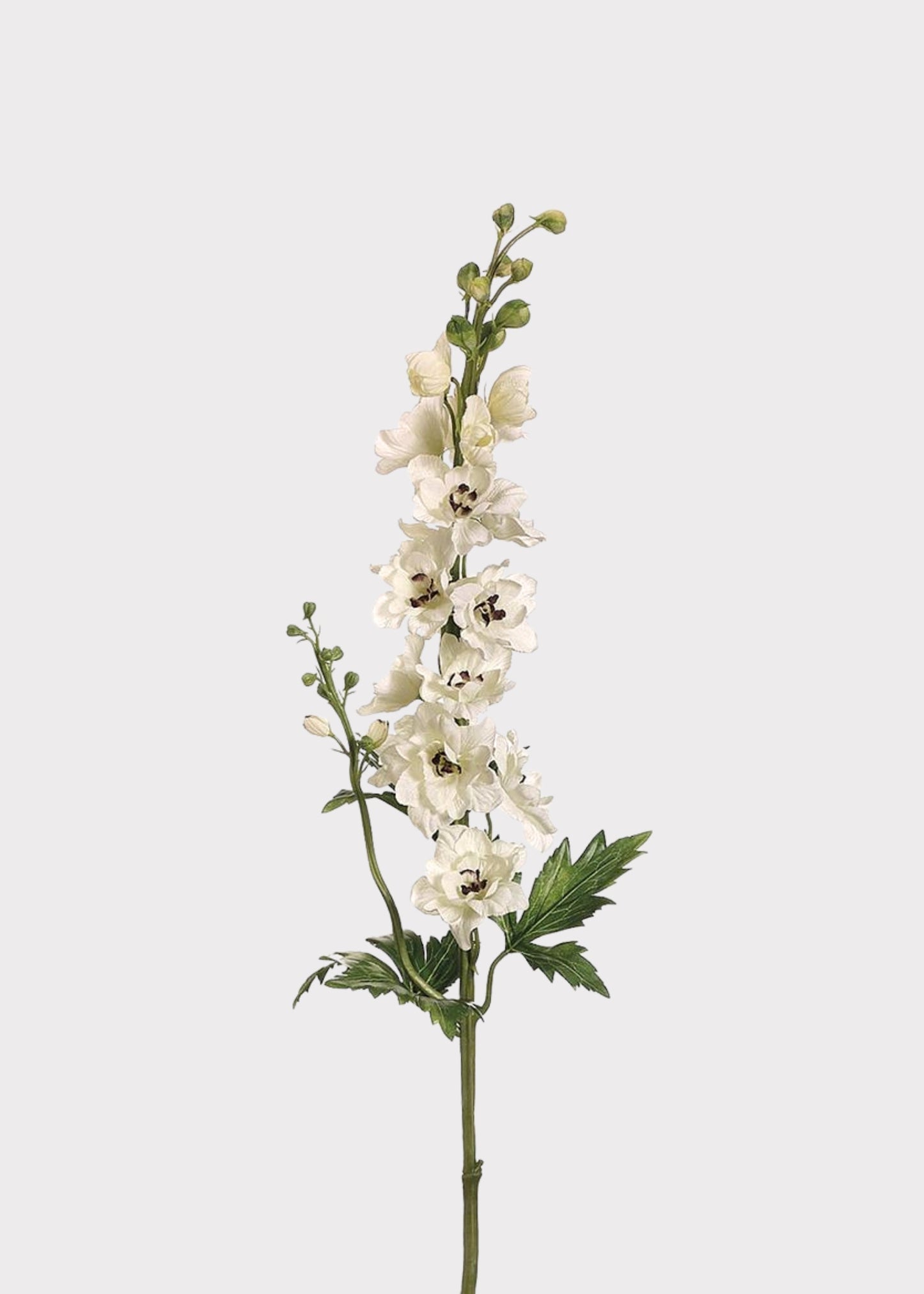 Tall Cream Artificial Delphinium Wildflower Stem - 35"