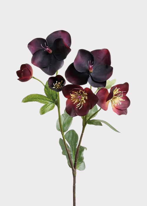 Plum Purple Real Touch Helleborus Artificial Flowers - 17"
