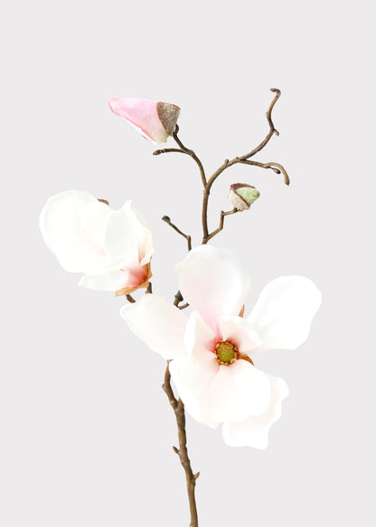 Blush Pink Fake Magnolia Flower Stem - 19"