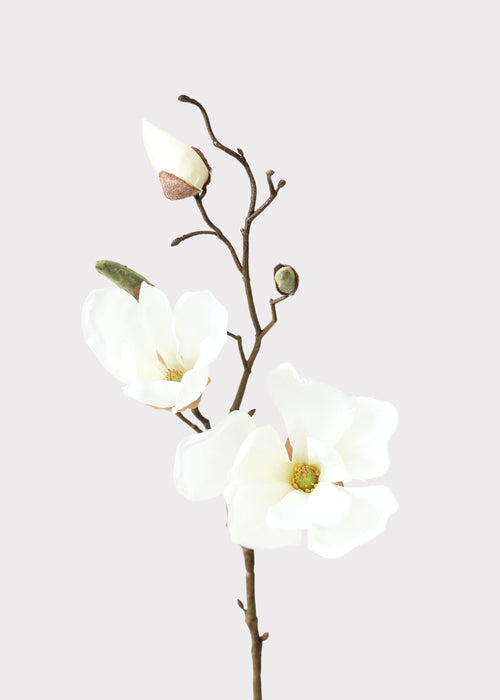 Cream Artificial Magnolia Flower Stem - 19"