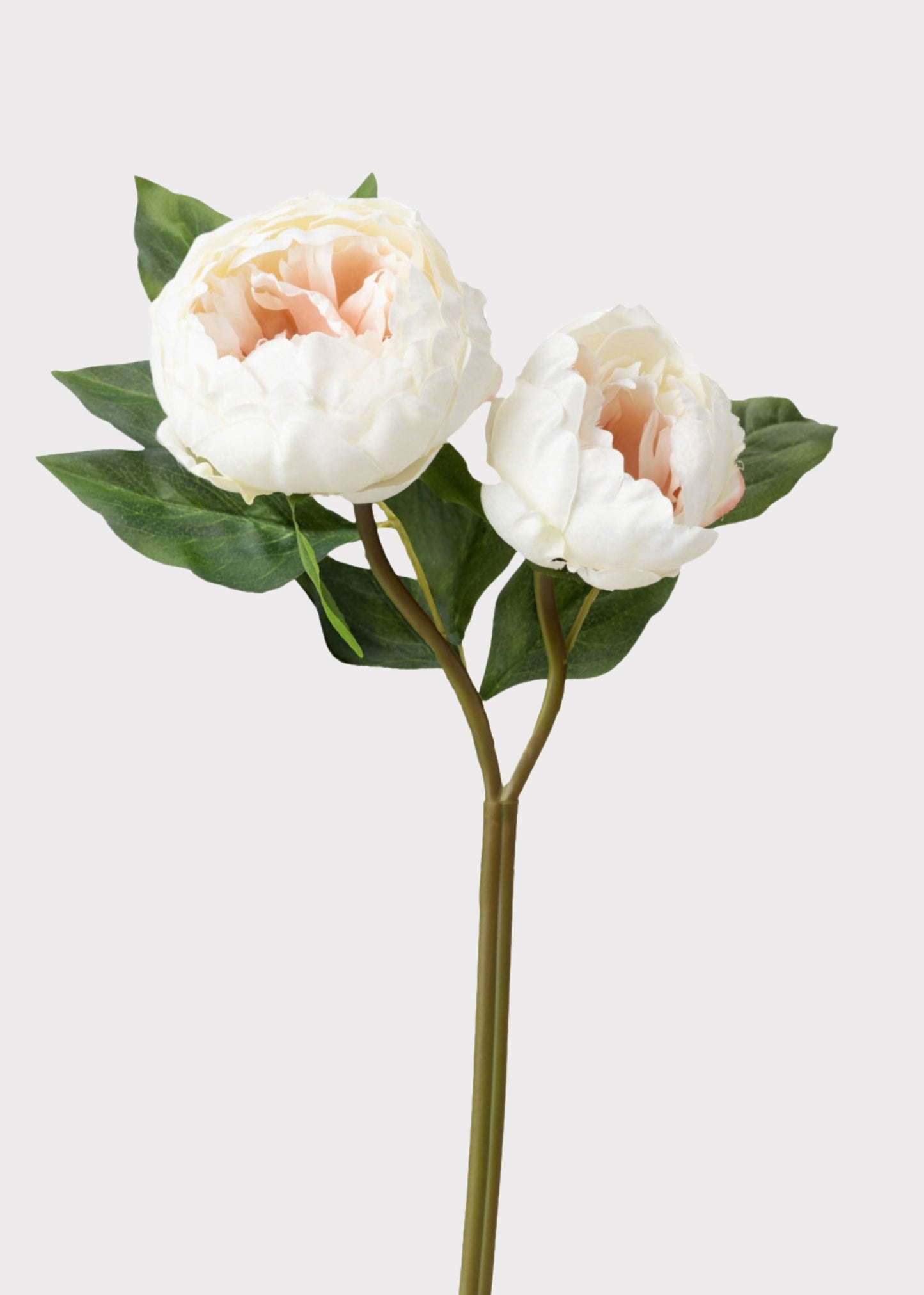 Cream Artificial Peony Flowers - 22"