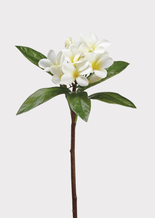 Tropical Plumeria Artificial Flowers in Cream Yellow - 22"