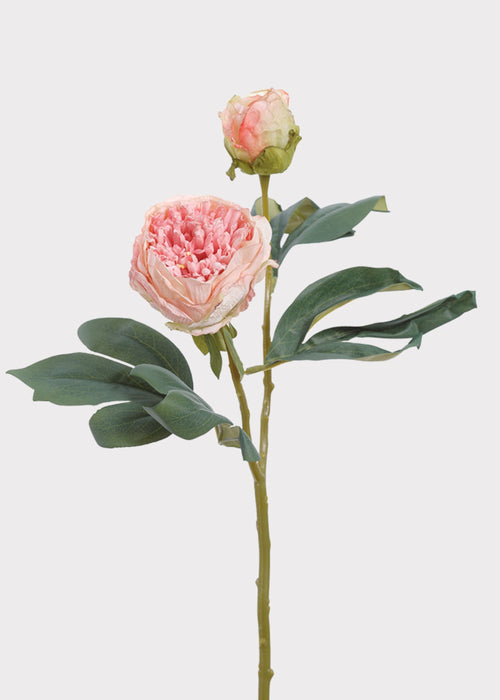 Artificial Petite Peony Flower in Pink - 19"