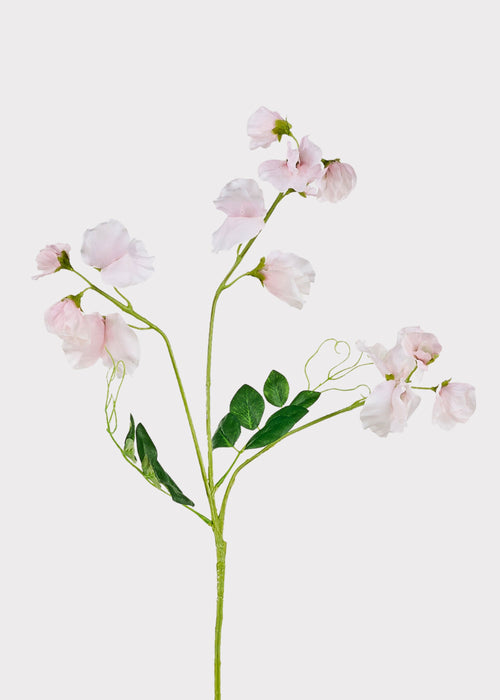 Cream Fake Sweet Pea Wildflowers - 26.75"
