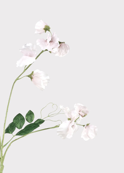 Cream Fake Sweet Pea Wildflowers - 26.75"
