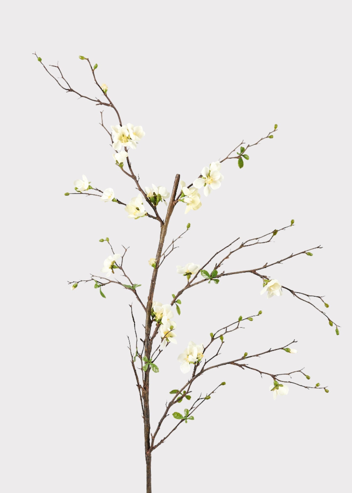 Premium Artificial Flowers  - Cream Artificial Blossom Branch - 57"